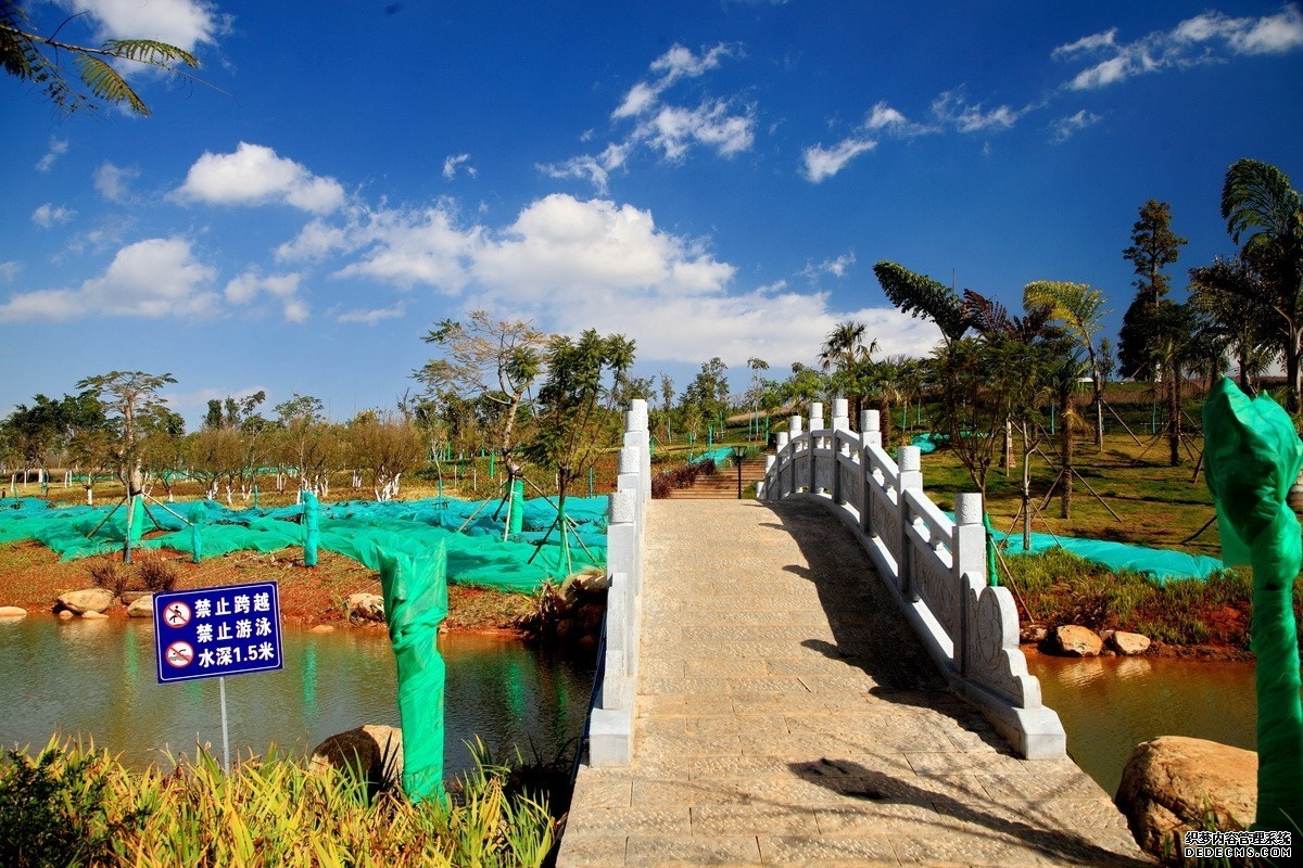 全球首个“海风直连”海底数据中心：“海上风电+海底算力”打通“算电一体”的绿色实践
